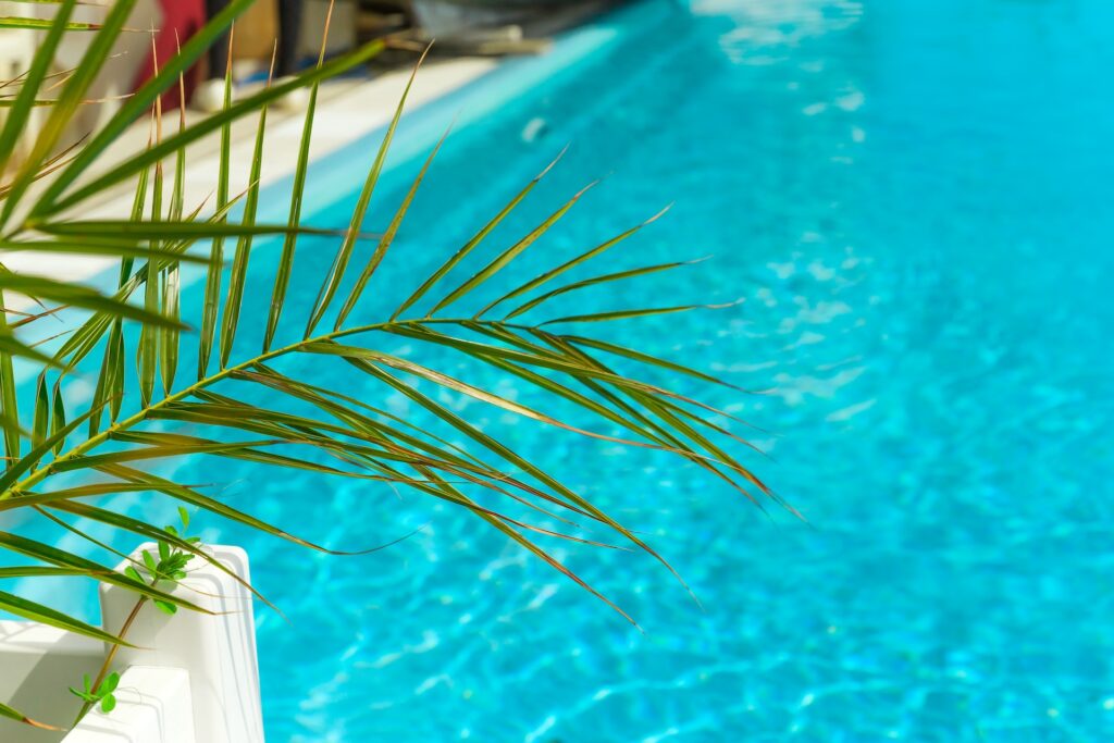 Inicio 1 blurred summer vacation background green palm leaf 2025 03 10 02 10 40 utc